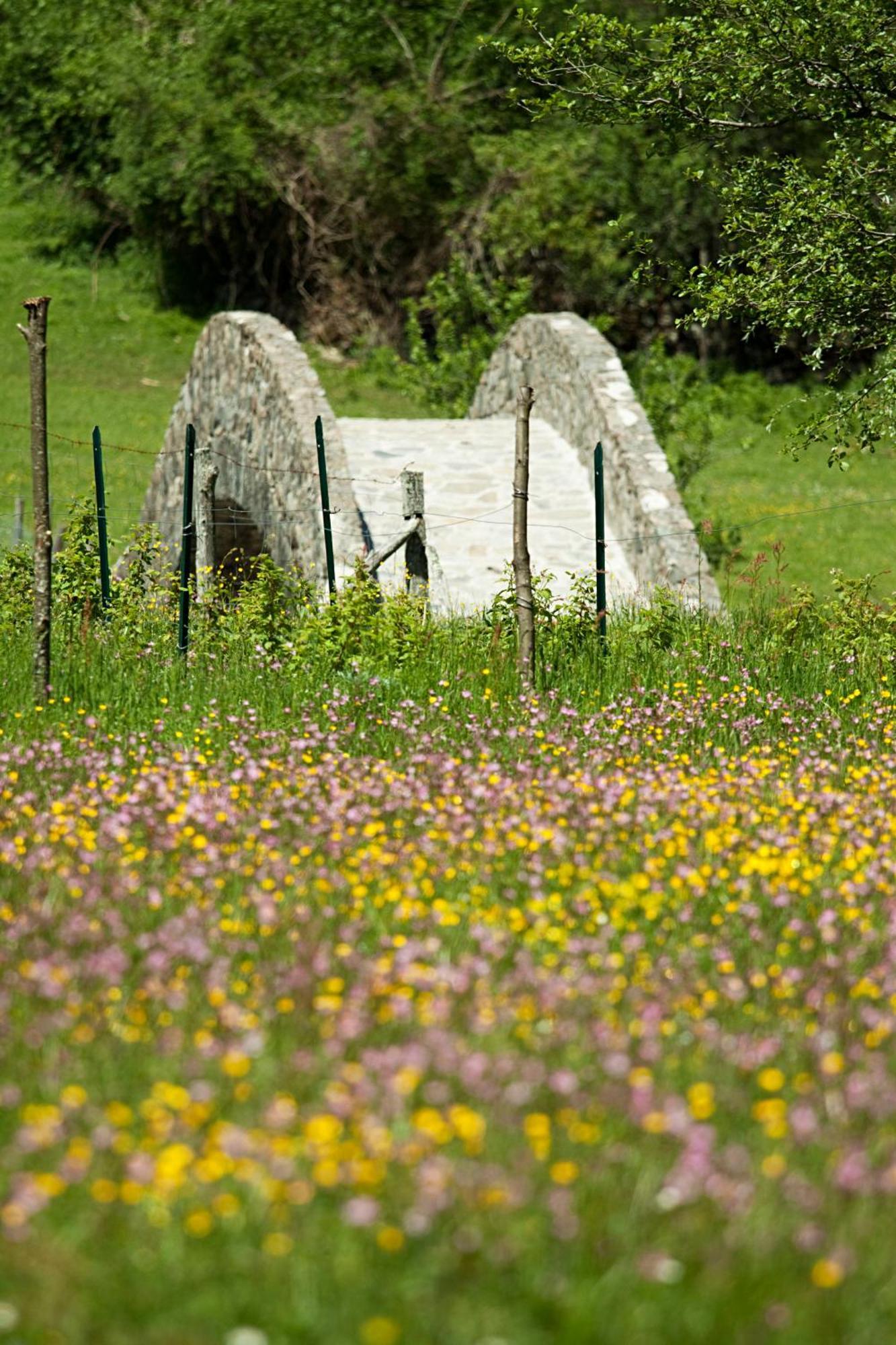 Mulino Marghen - Restored Watermill - Accomodation And Retreat Center Zeri Exterior foto
